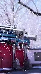 2K竖版大雪节气视频海报视频的预览图